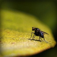 /album/roffrootresubf/photolia-a07-jpg/